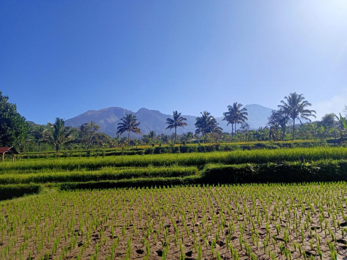 Tetebatu Sunrise Homestay Exterior foto