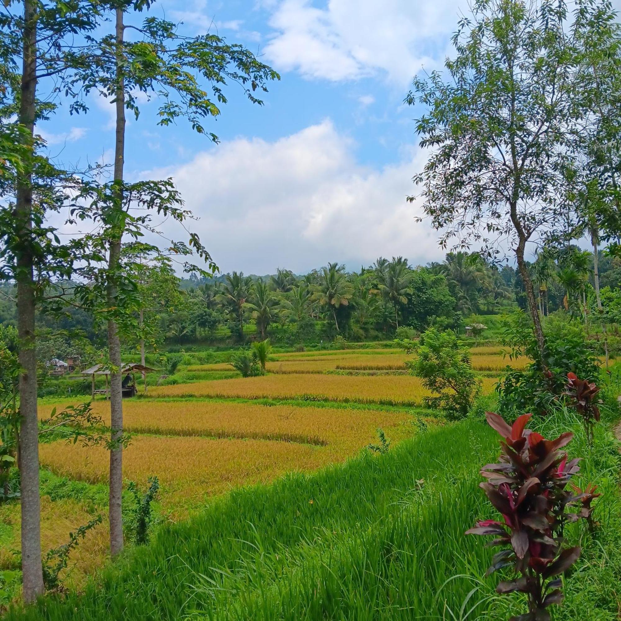 Tetebatu Sunrise Homestay Exterior foto