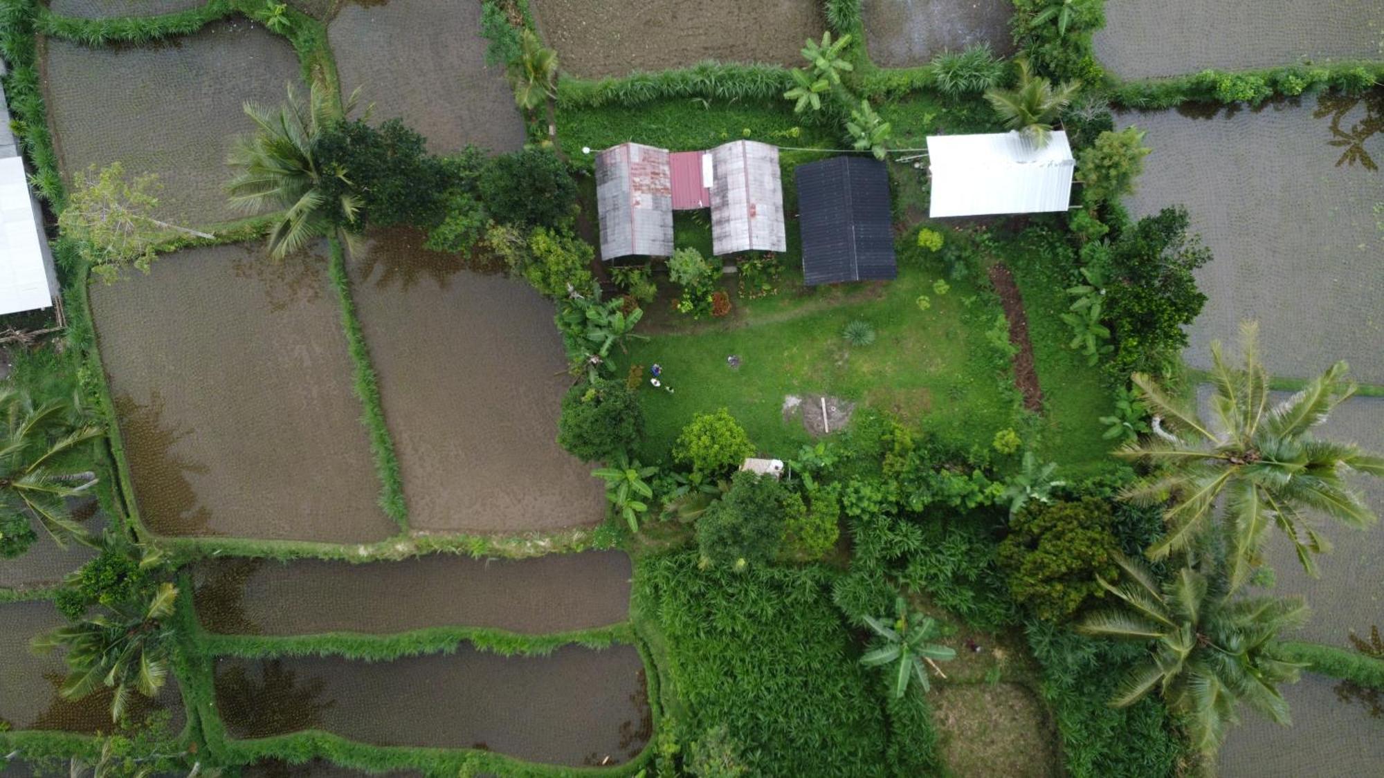 Tetebatu Sunrise Homestay Exterior foto