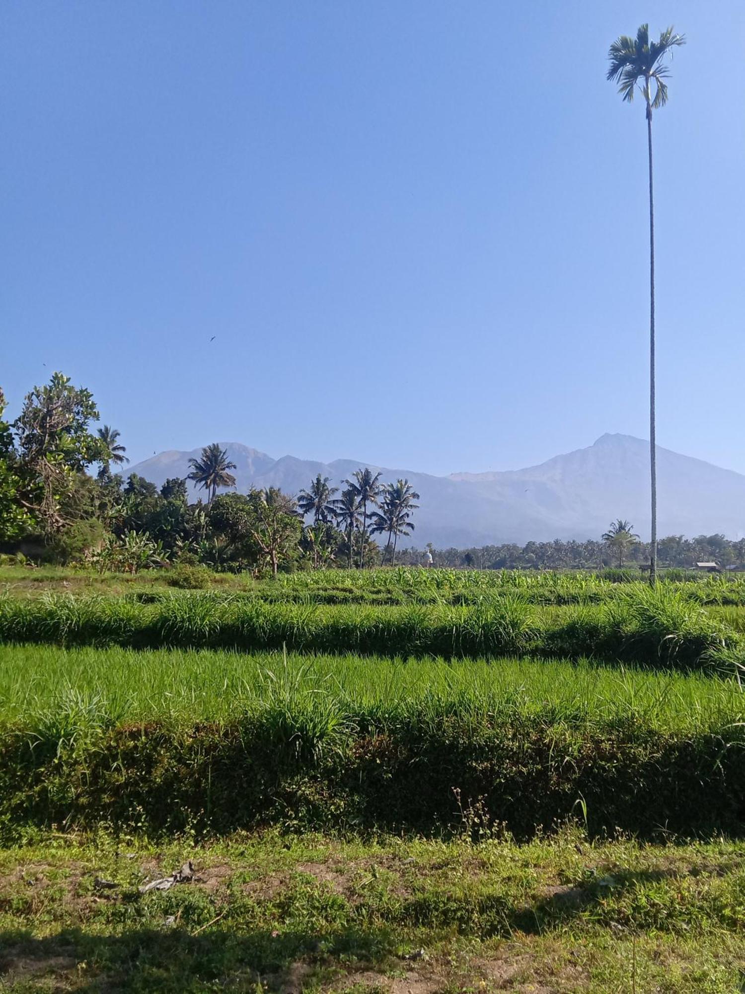 Tetebatu Sunrise Homestay Exterior foto
