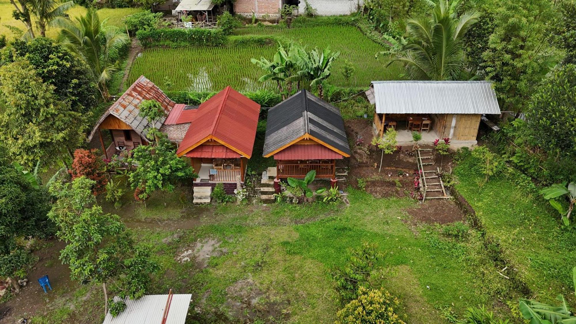 Tetebatu Sunrise Homestay Exterior foto